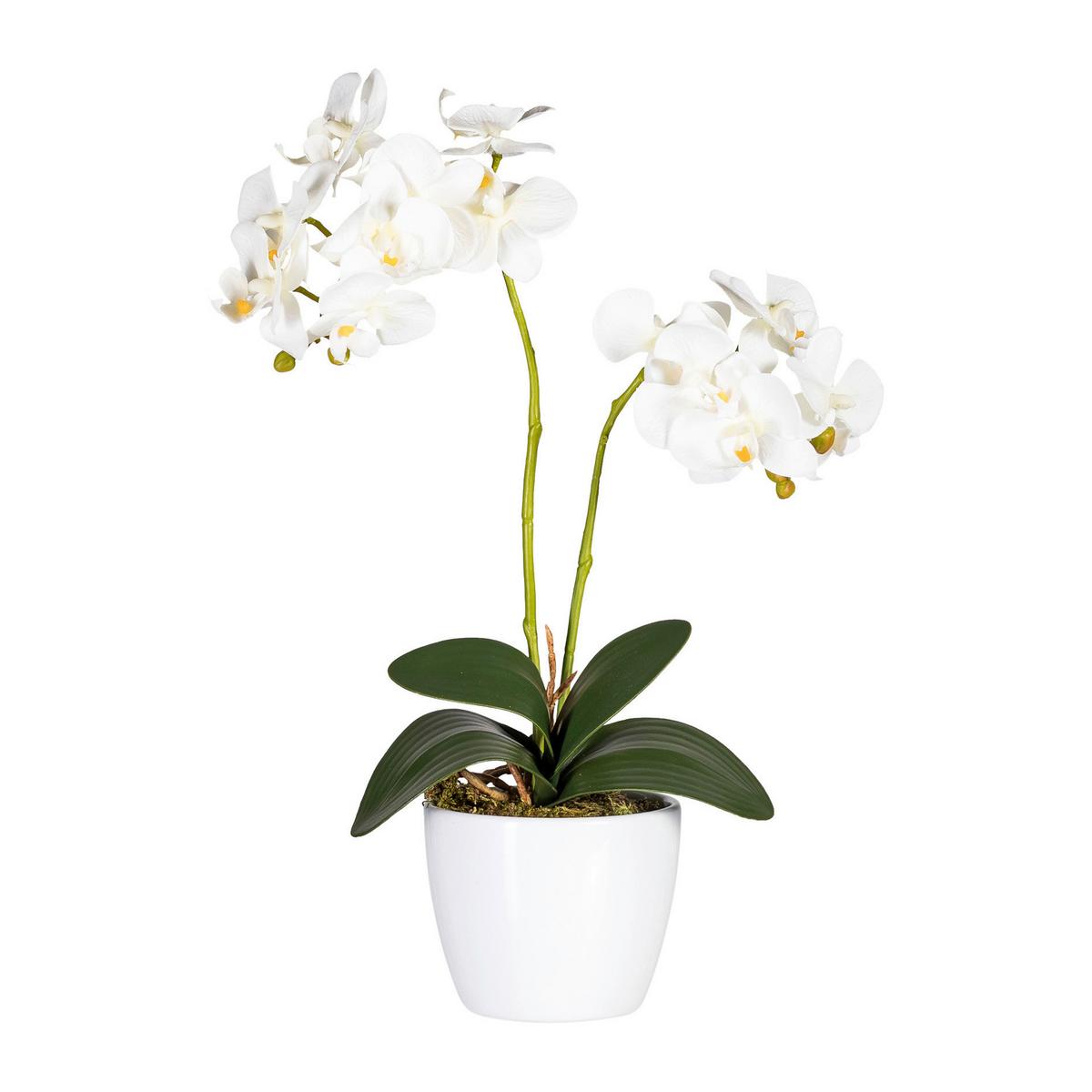 Kunstpflanze Orchidee Bunt H: 40 Cm Im Topf, Sofie - Lila/Weiß, KONVENTIONELL, Keramik/Kunststoff (40cm)
