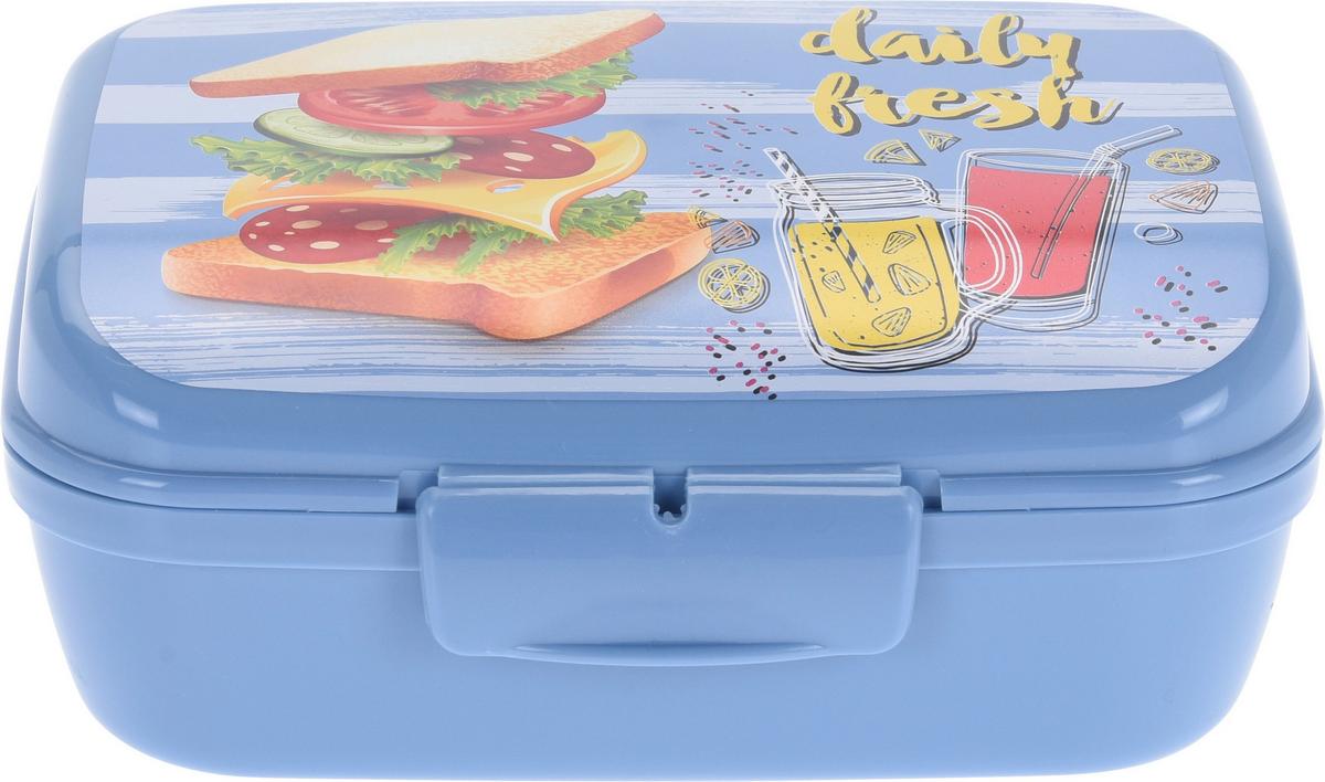 Krabička na oběd LUNCHBOX - Basics (16/12/7cm)