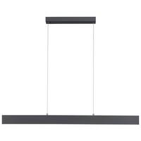 LED-Hängeleuchte 11548-13 - Anthrazit, Design, Kunststoff/Metall (121/6/120cm)