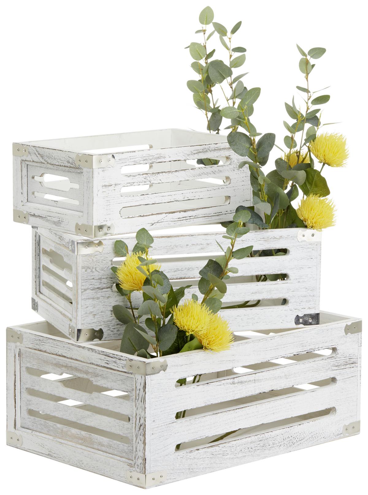 DEBNA RONNY - biela, drevo (32/19/12cm) - Mömax