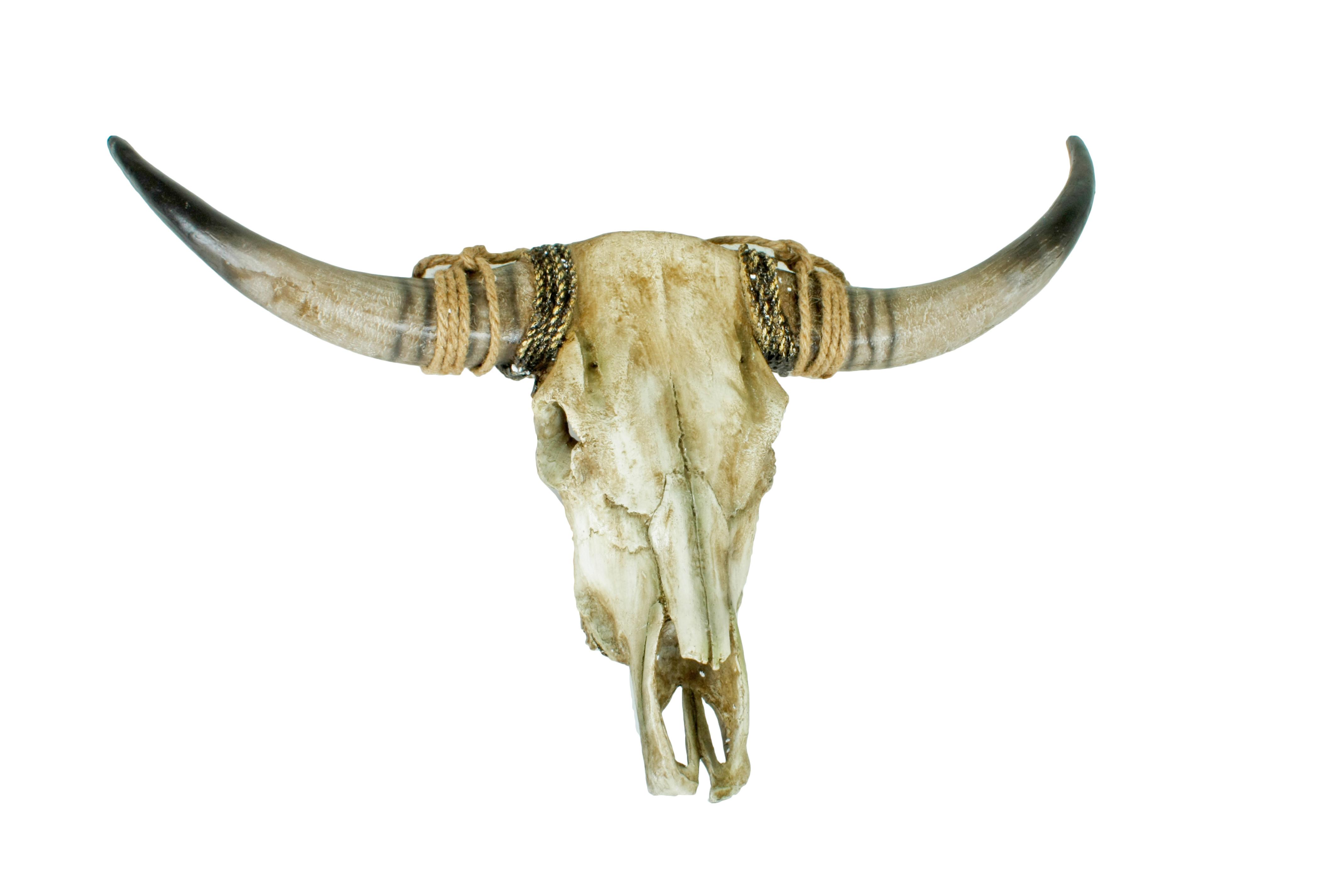 Geweih Braun Naturfarben B: 79 Cm - Braun/Naturfarben, Basics, Kunststoff (79/52,5/16,5cm)