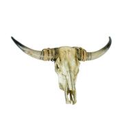 Geweih Braun Naturfarben B: 79 Cm - Braun/Naturfarben, Basics, Kunststoff (79/52,5/16,5cm)