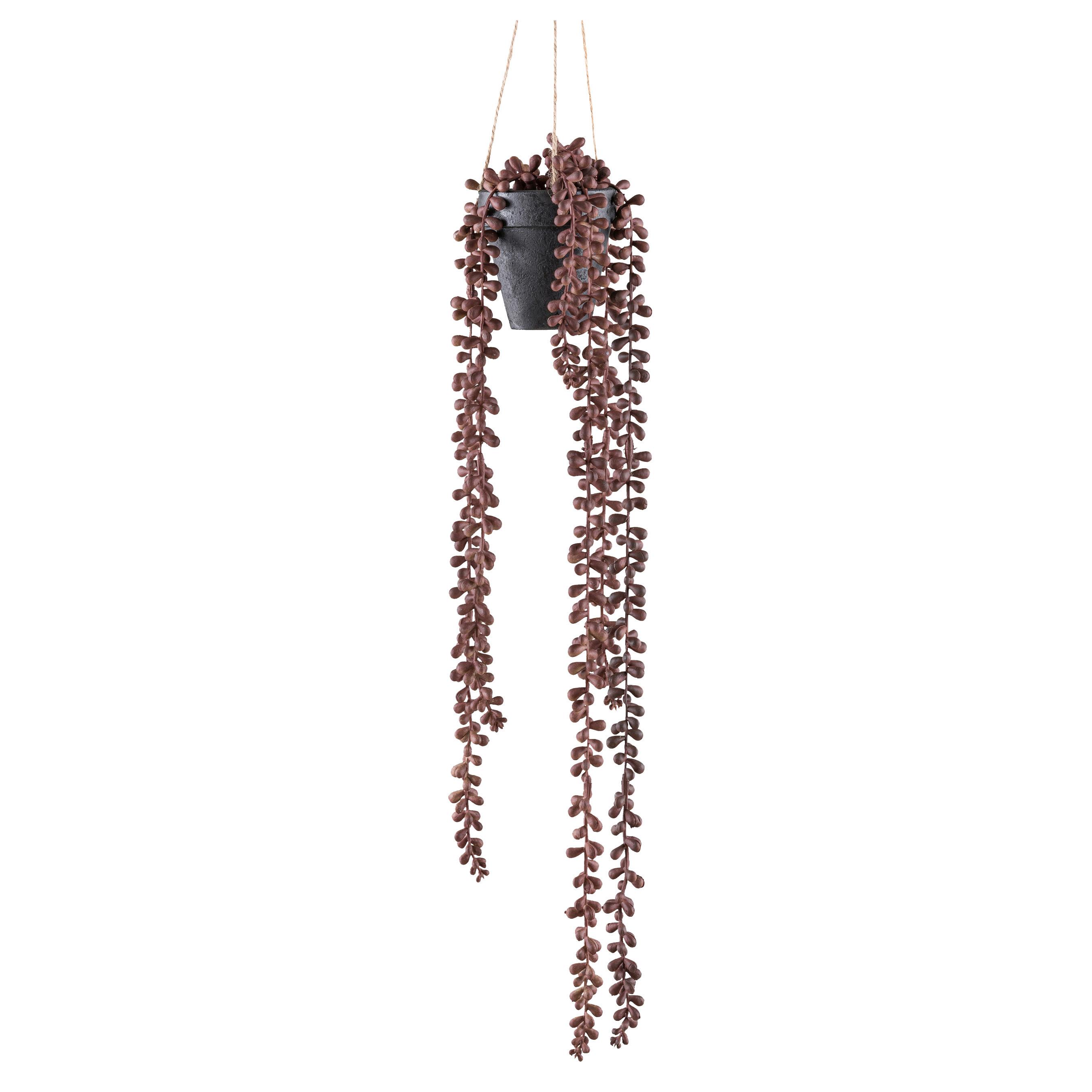 Kunstpflanze Sukkulenten Rotbraun/Schwarz, 60 cm - Rotbraun/Schwarz, Design, Kunststoff (60cm)
