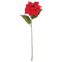 KUNSTPFLANZE POINSETTIE - Rot/Braun, Basics, Kunststoff (60cm)