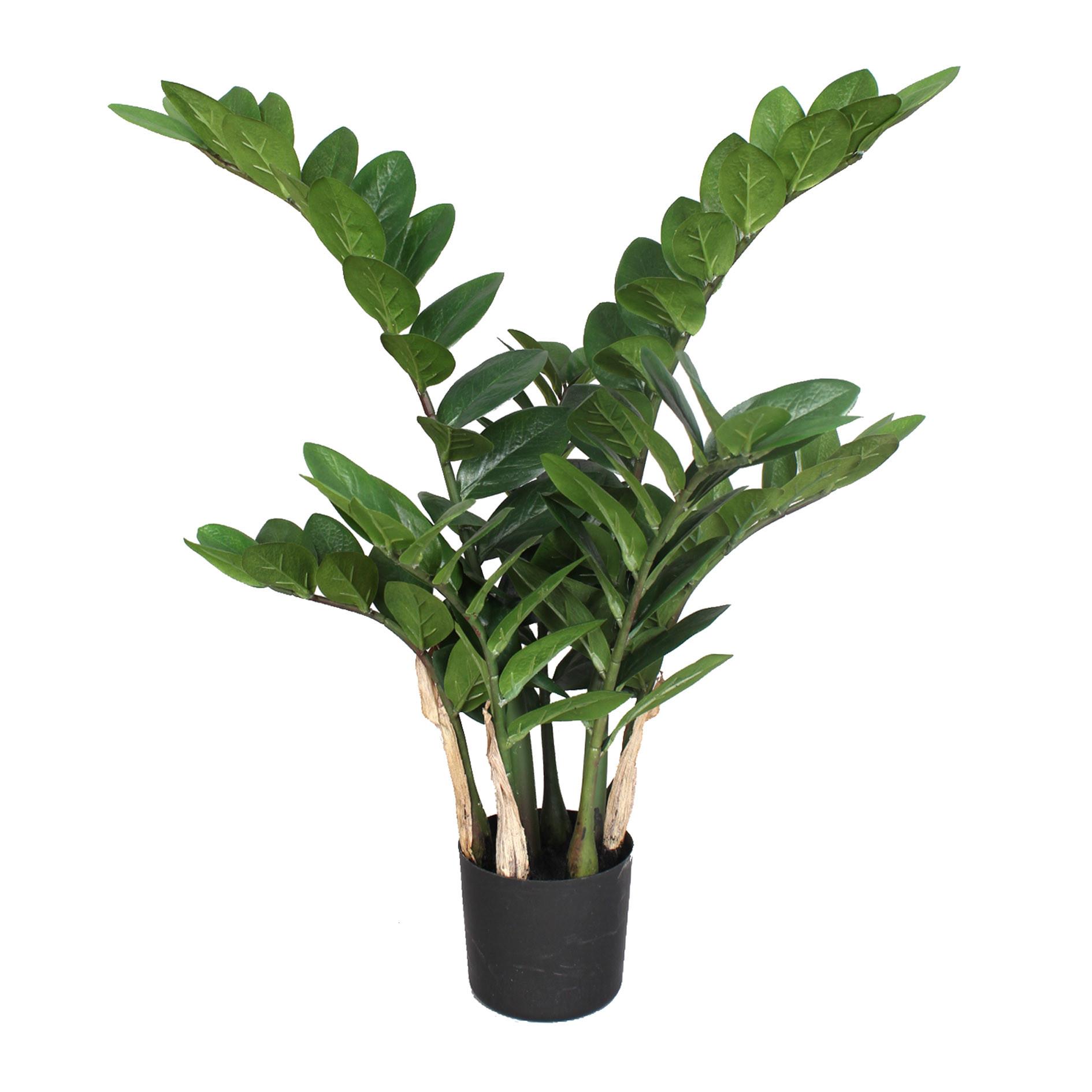 Kunstpflanze Grünpflanze H: 70 cm - Schwarz/Braun, Design, Kunststoff (70cm) - P & B