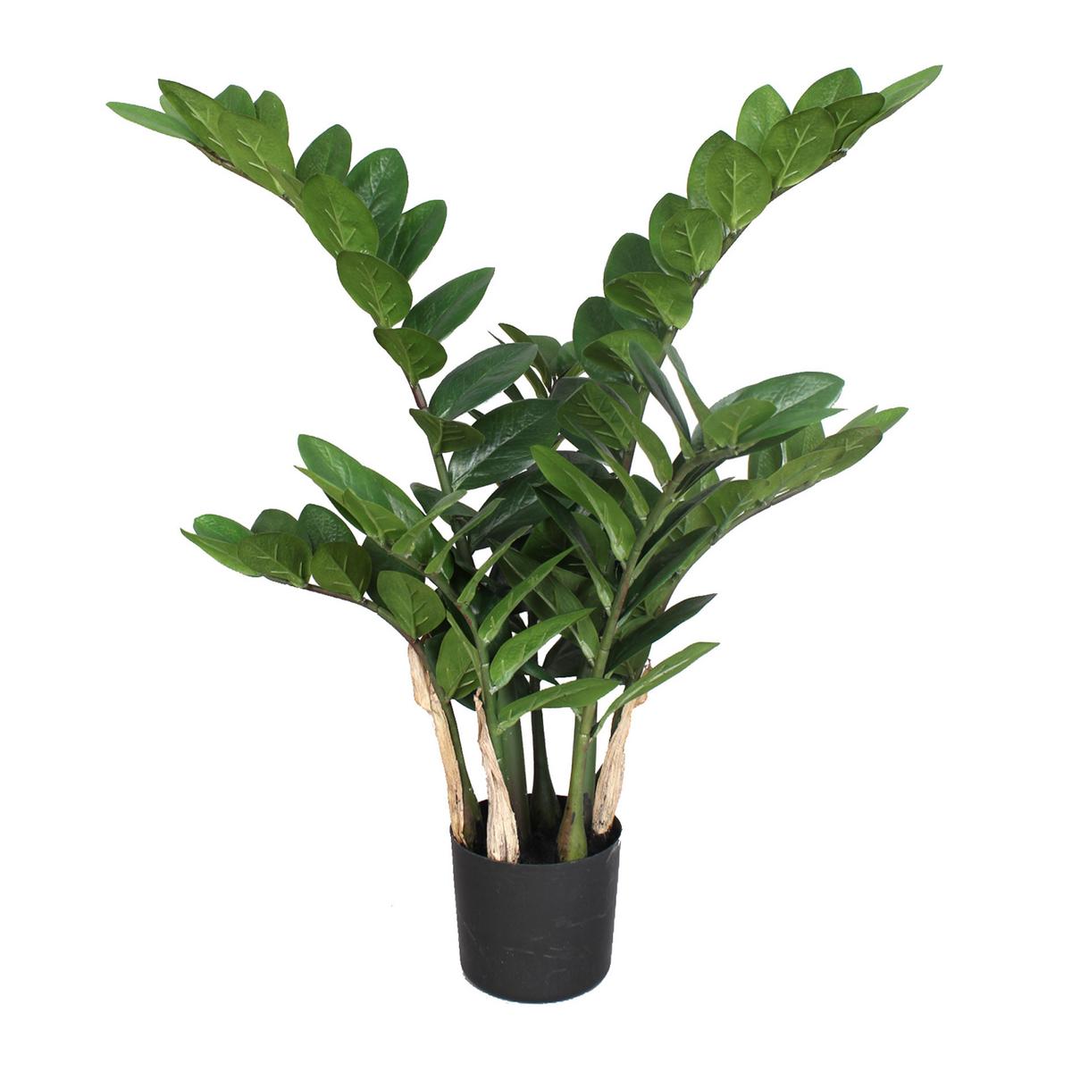 Kunstpflanze Grünpflanze H: 70 cm - Schwarz/Braun, Design, Kunststoff (70cm) - P & B