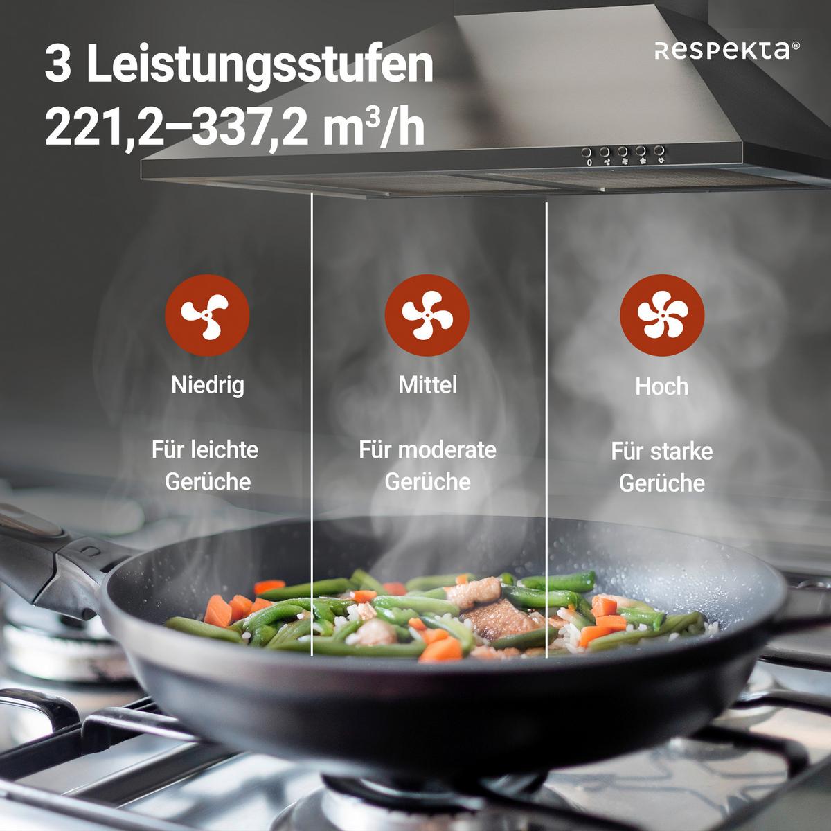 Dunstabzugshaube Respekta Nola Edelstahlfarben B: 60 Cm - Edelstahlfarben, Trend, Metall (60/58-96/47,5cm) - Respekta