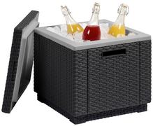 Kühlbox Ice Cube