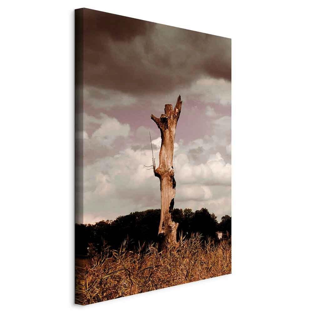 Leinwandbild Memory of Heaven Hellgrau Hellbraun B: 40 cm - Hellbraun/Hellgrau, Basics, Holzwerkstoff/Textil (40/60/1.2cm) - artgeist