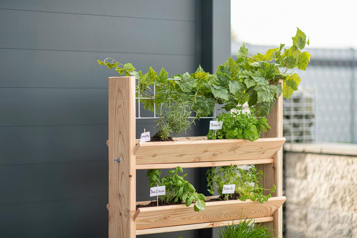 Gartenregal Kräuterregal L - Lärchefarben, Basics, Holz (80/95/50cm)