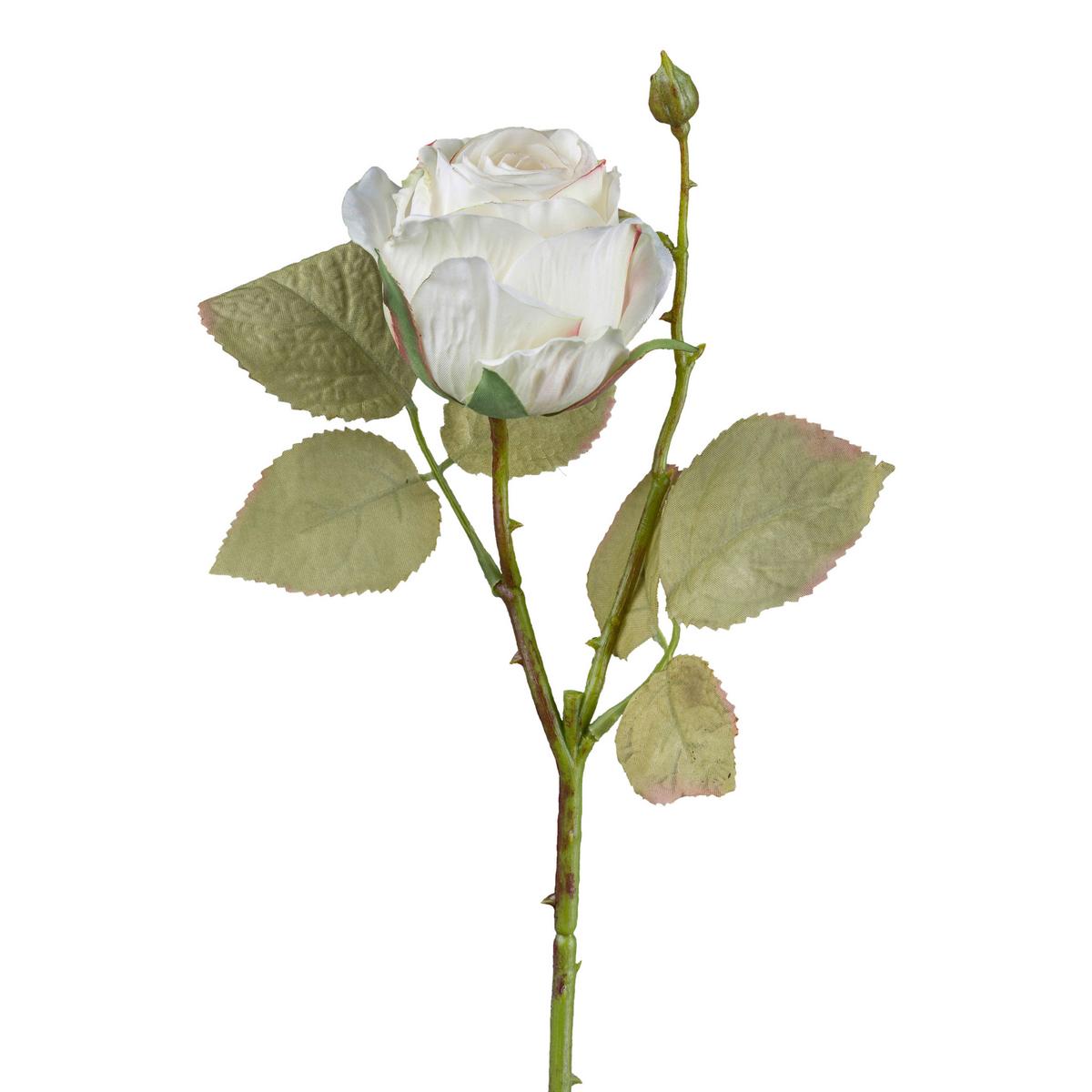 DEKORAČNÁ VETVIČKA VINTAGEROSE I - biela/zelená, Konventionell, plast (45cm) - Modern Living