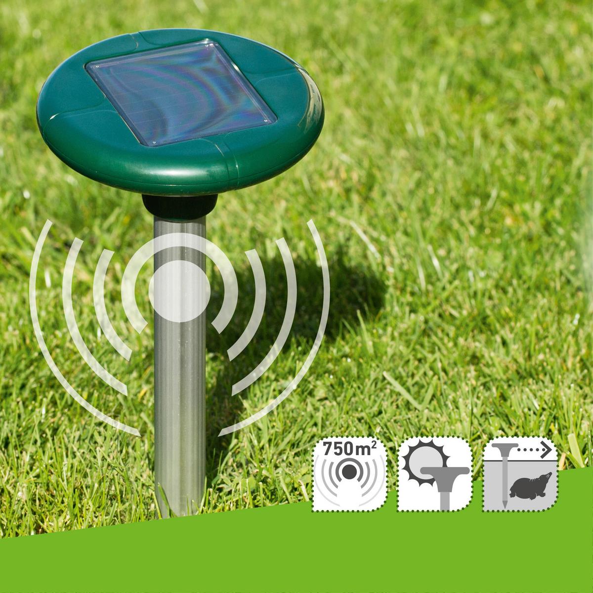 Ultraschall-Tiervertreiber Wühlmaus Solar 4 Star - Grün, Basics, Kunststoff (160cm)
