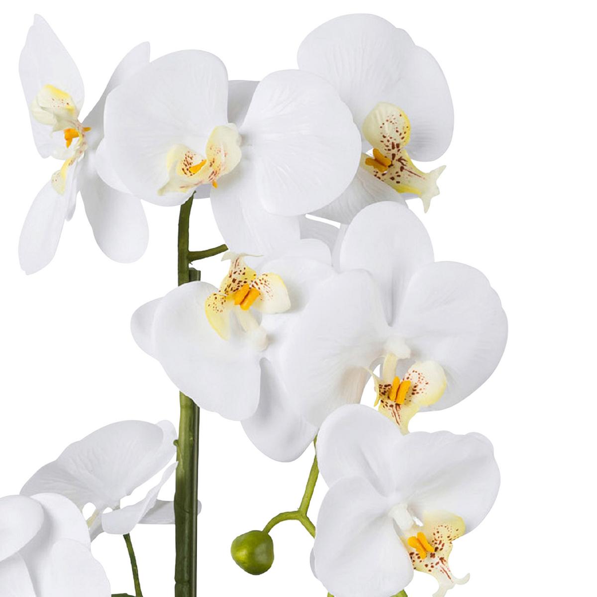 Kunstpflanze Orchideen Weiß, inkl. Topf, H: 52 cm - Weiß/Grün, Design, Keramik/Kunststoff (52cm) - P & B