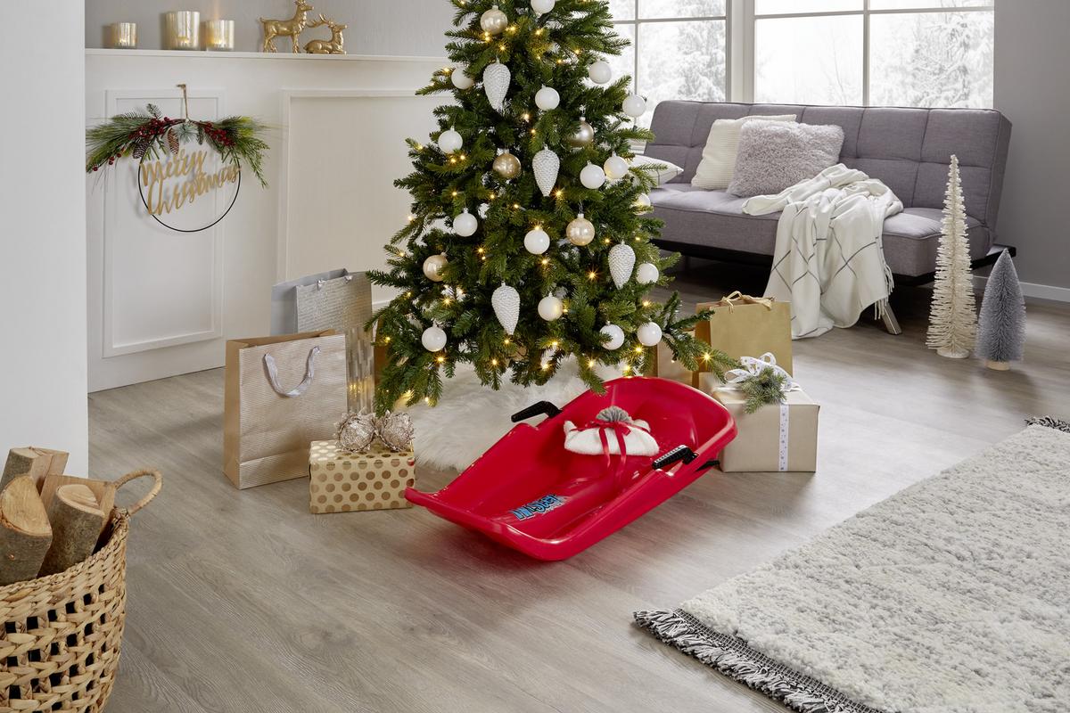 Bob Red Thunder inkl. Zugseil und Bremssystem Rot - Rot, KONVENTIONELL, Kunststoff (80/40/14cm)