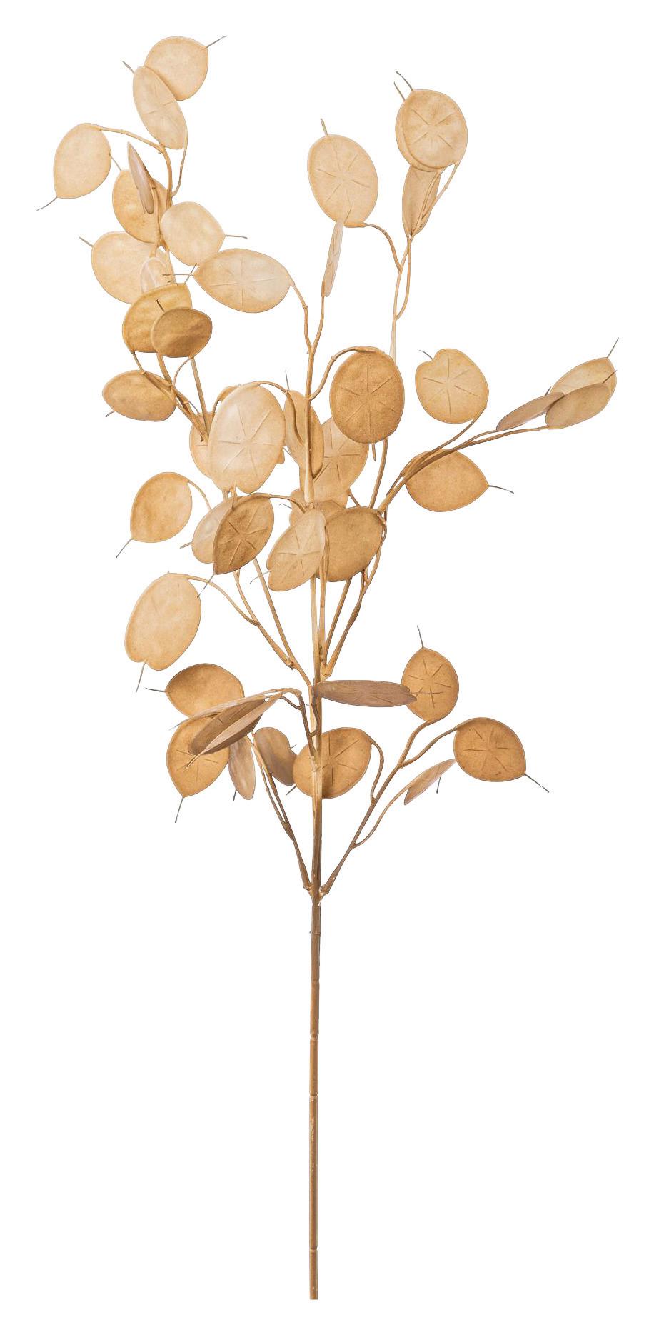 Kunstpflanze Pfennigblattzweig Braun L: 76 cm, Gala
