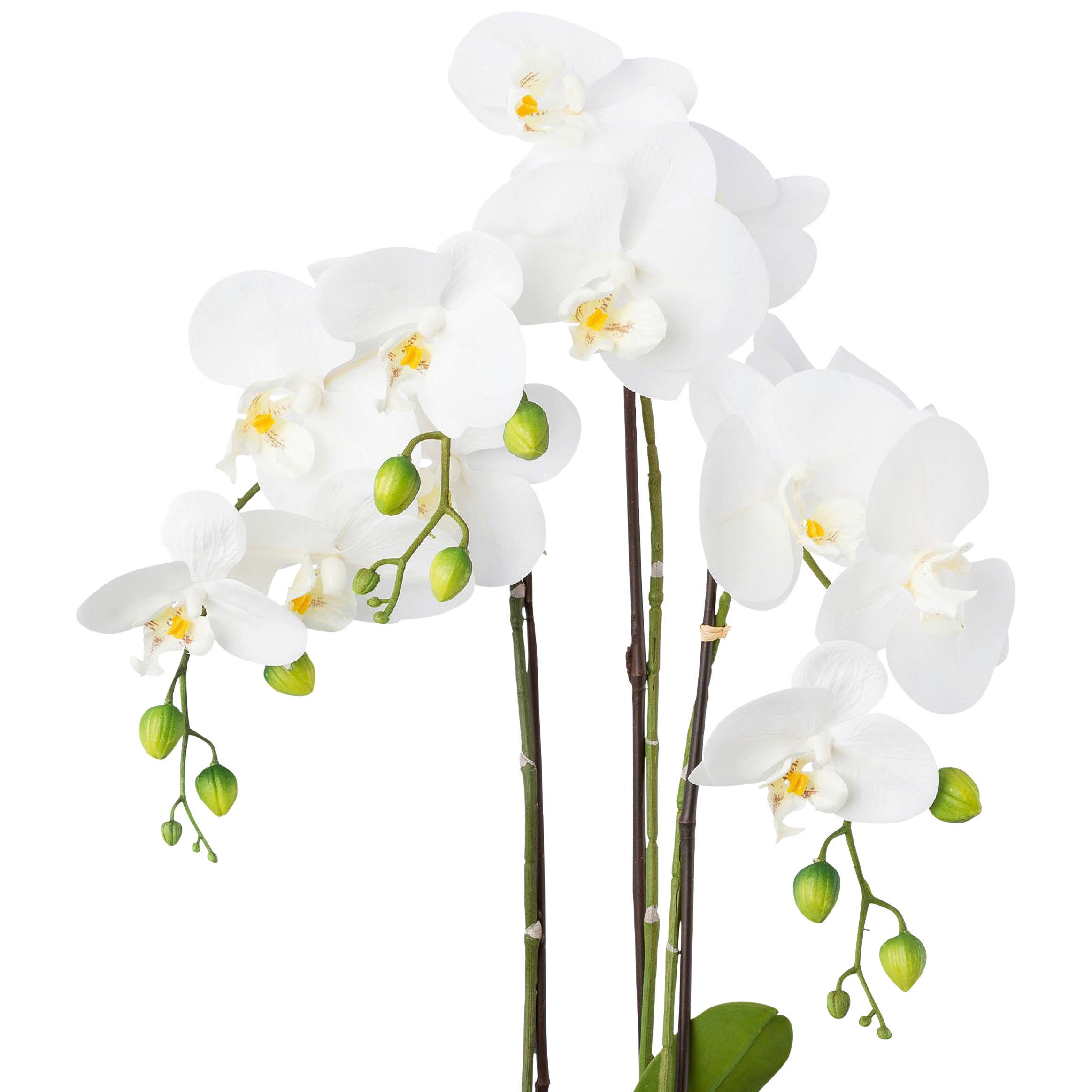 Kunstpflanze Orchideen, Weiß Topf: Silberfarben, H: 55 Cm - Silberfarben/Weiß, Design, Keramik/Kunststoff (55cm) - P & B