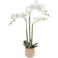 Orchidee Olivia - Gelb/Erlefarben, KONVENTIONELL, Keramik/Papier (12/62cm) - Luca Bessoni