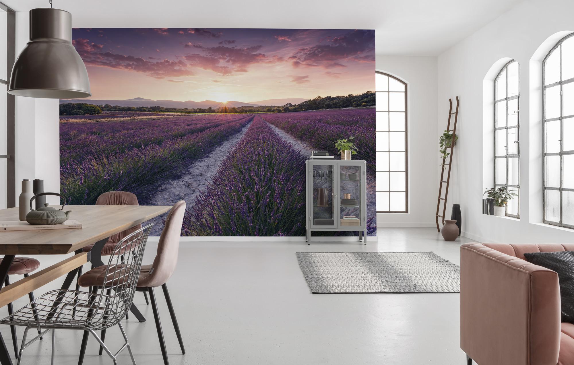 Fototapete Lavender Dream - Multicolor, Trend, Textil (450/280cm)