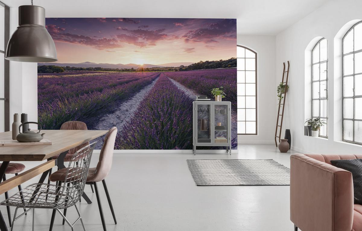 Fototapete Lavender Dream - Multicolor, Trend, Textil (450/280cm)