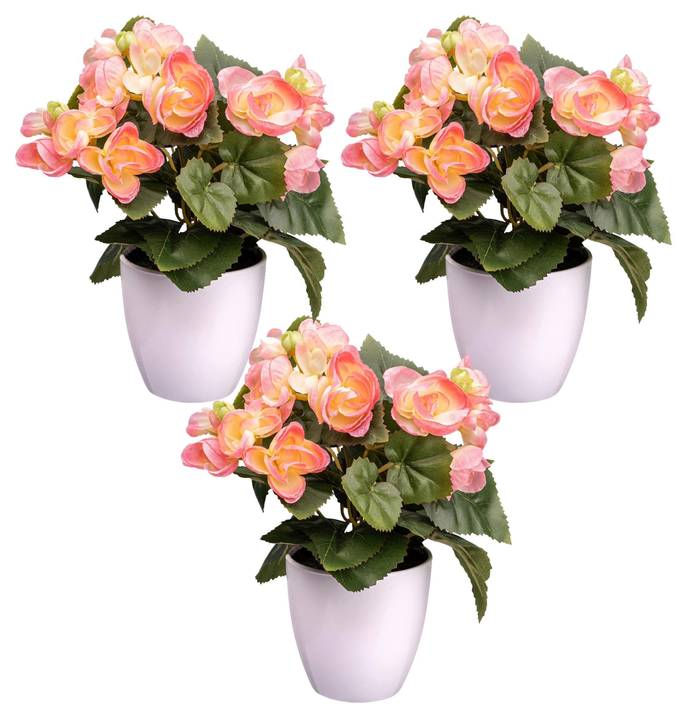 Kunstpflanze Begonien inkl. Topf D: 8 cm - Rosa/Weiß, Design, Kunststoff (24cm) - P & B