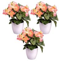 Kunstpflanze Begonien inkl. Topf D: 8 cm - Rosa/Weiß, Design, Kunststoff (24cm) - P & B