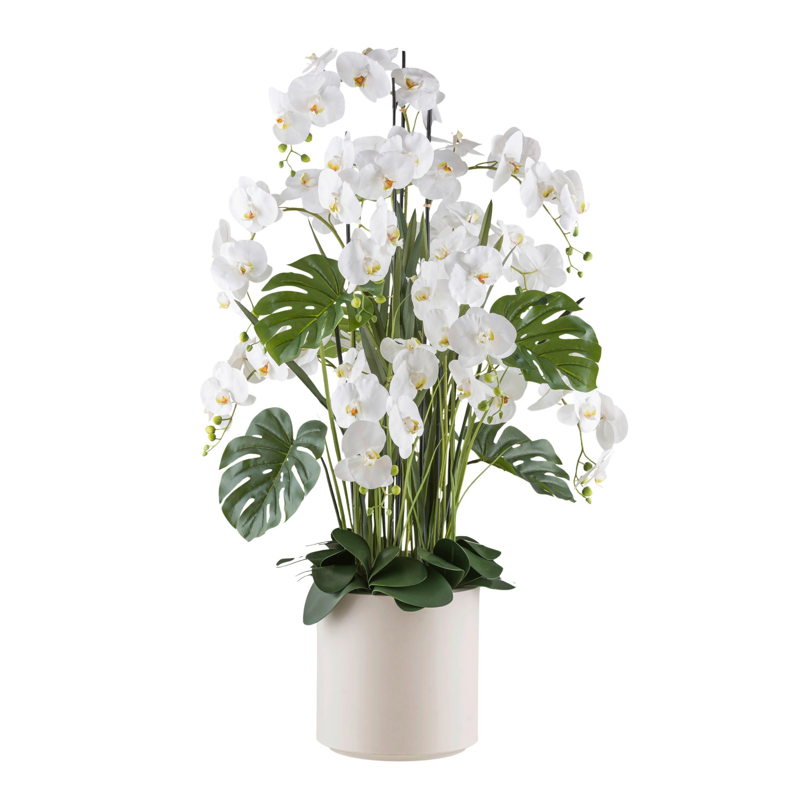 Kunstpflanze Orchideen Creme/grün/weiß, 140 Cm - Creme/Weiß, Design, Kunststoff (140cm) - P & B