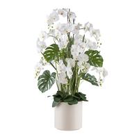 Kunstpflanze Orchideen Creme/grün/weiß, 140 Cm - Creme/Weiß, Design, Kunststoff (140cm) - P & B