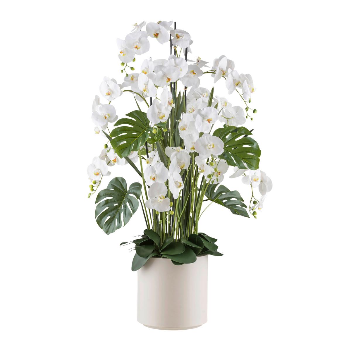 Kunstpflanze Orchideen Creme/grün/weiß, 140 Cm - Creme/Weiß, Design, Kunststoff (140cm) - P & B