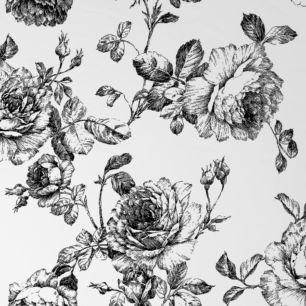 Bettwäsche Rose - Schwarz, ROMANTIK / LANDHAUS, Textil - James Wood