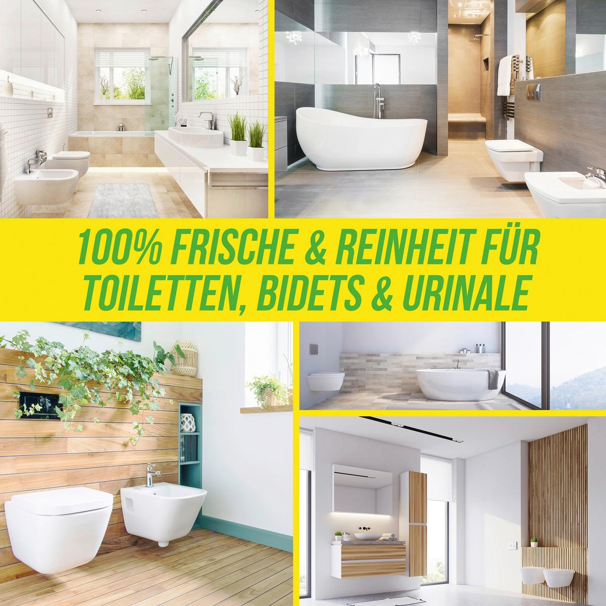 Reinigungsset WC Power Pulver - Basics (1kg) - Urban Forest