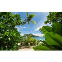 Fototapete Cast Away Jungle - Multicolor, Trend, Textil (450/280cm)