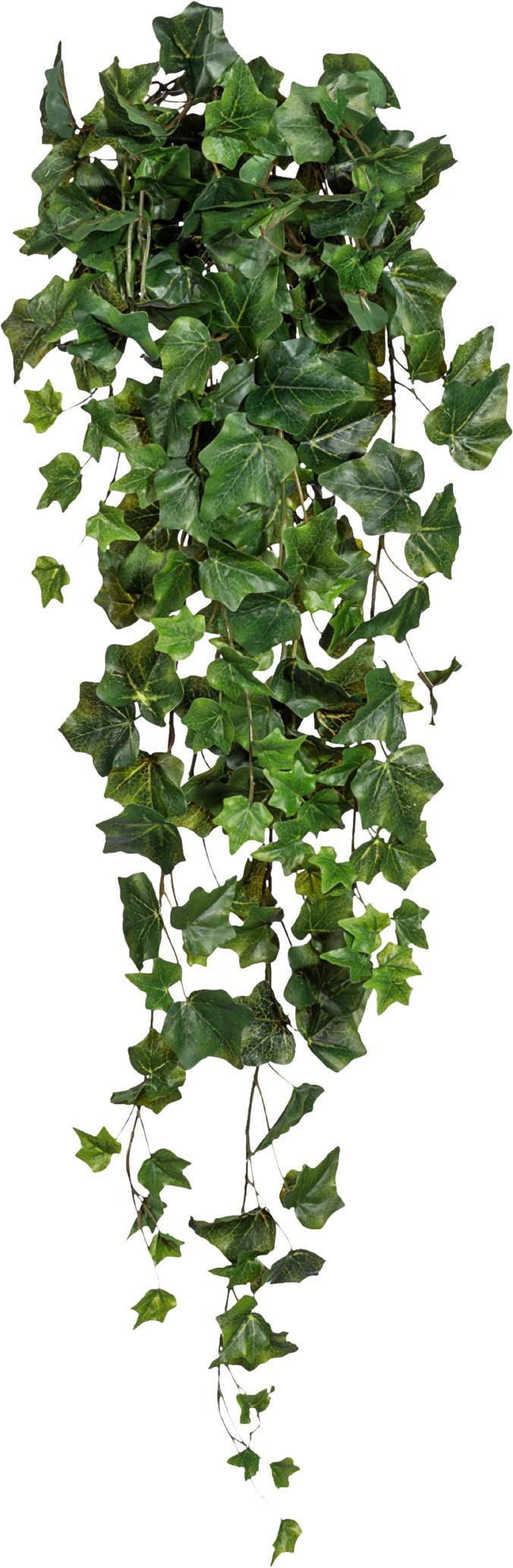 Kunstpflanze Hängepflanze Grün, 85 cm - Grün, Design, Kunststoff (85cm) - P & B
