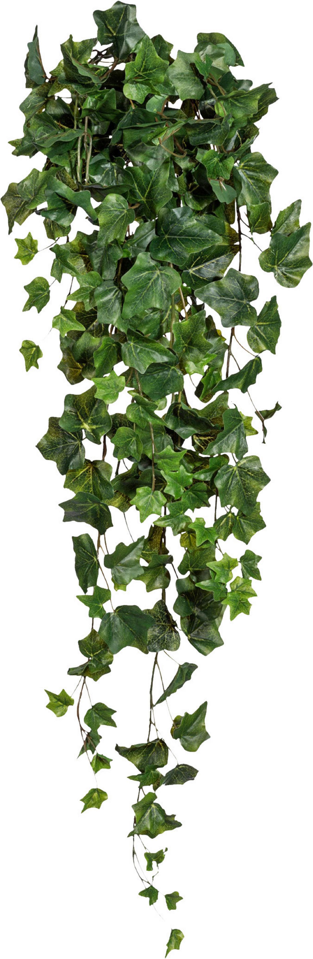 Kunstpflanze Hängepflanze Grün, 85 cm - Grün, Design, Kunststoff (85cm) - P & B