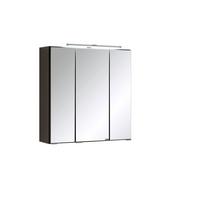 Spiegelschrank Mit Türdämpfer + Led Cardiff B: 60cm, Graphit - Graphitfarben, KONVENTIONELL, Glas/Holzwerkstoff (60/64/20cm) - Held