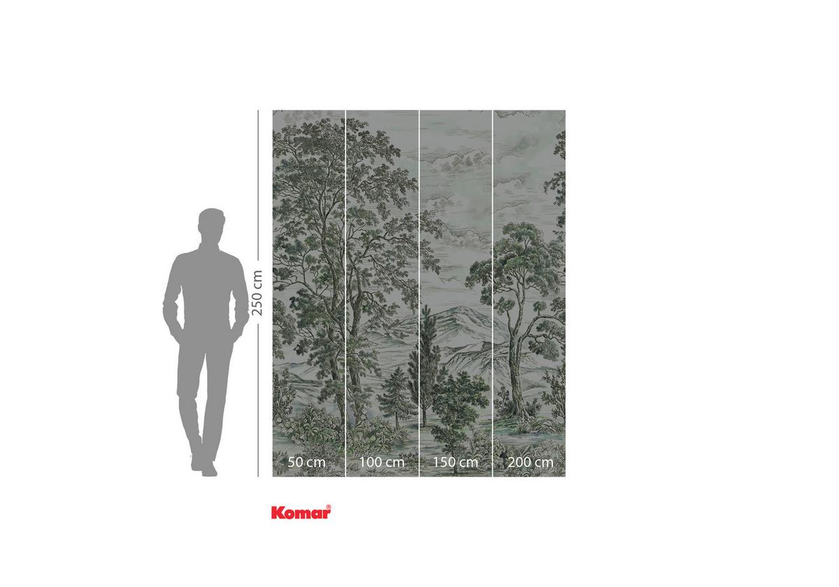 Vliestapete Forest Fairy - Weiß/Grün, Basics (200/250cm) - Komar