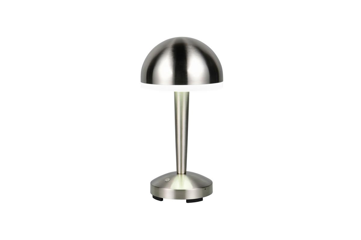 Led-tischleuchte, Nickel R54541107 - Transparent/Nickelfarben, Basics, Kunststoff/Metall (15,4/29,5cm)