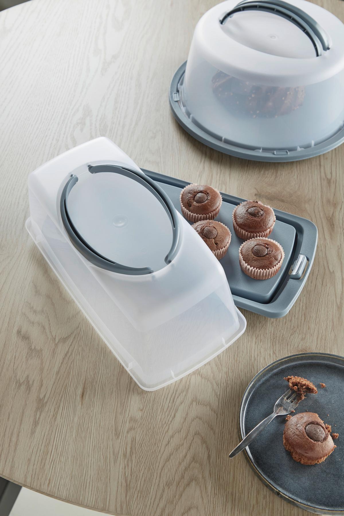 Kuchentransportbox Jasmina L/B/H: ca. 40/20/15 cm - Pastellblau/Transparent, MODERN, Kunststoff (40/20/15cm) - Luca Bessoni