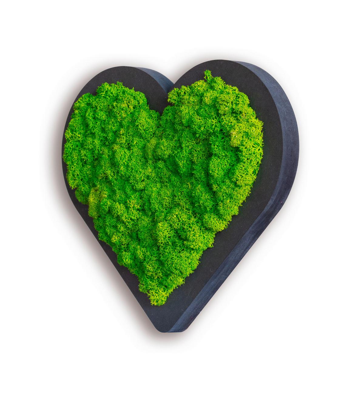 Moosbild Grün B: 20 Cm - Schwarz/Grün, Basics, Naturmaterialien/Holz (20/22/3cm)