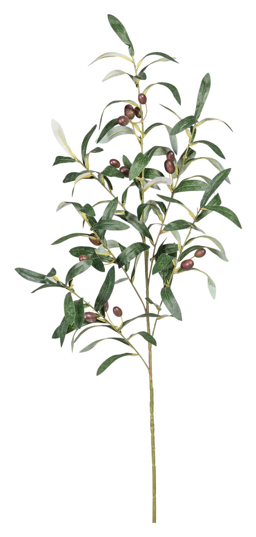 Umělá rostlina OLIVENZWEIG II - olivově zelená, Konvenční, plast (100cm) - Modern Living