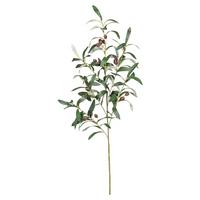 Umělá rostlina OLIVENZWEIG II - olivově zelená, Konvenční, plast (100cm) - Modern Living
