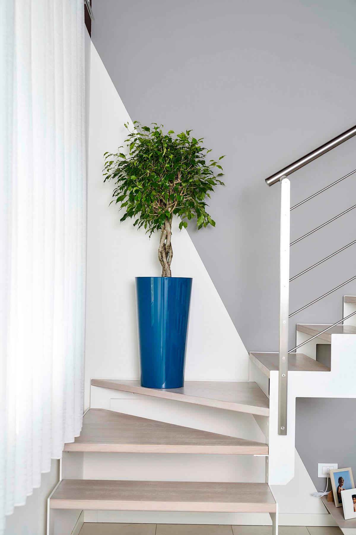 Pflanzentopf Blau D: 33 Cm Rund - Blau, Basics, Kunststoff (33/61cm)