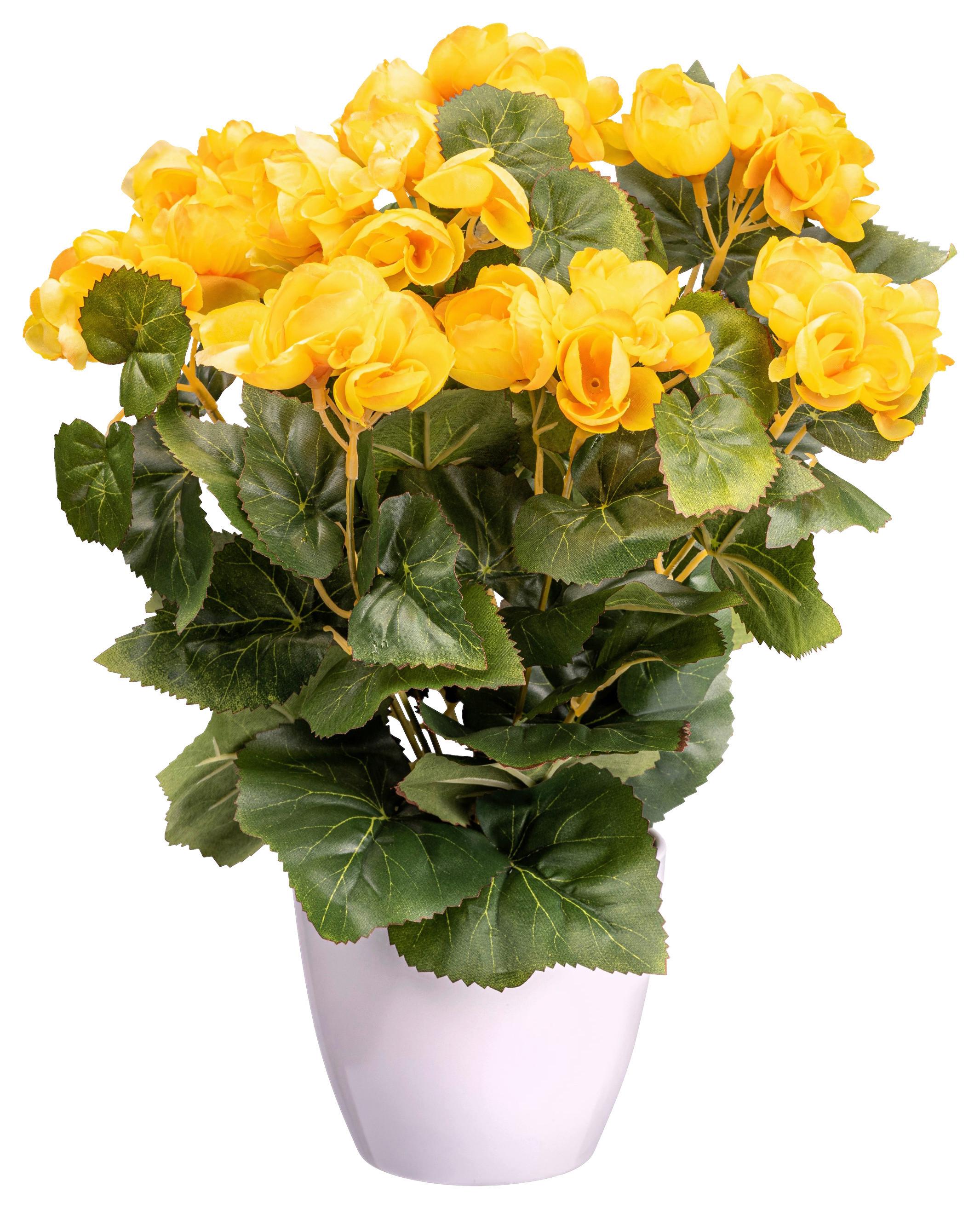 Kunstpflanze Blühpflanzen Gelb/grün/weiß, 35 Cm - Gelb/Weiß, Design, Kunststoff (35cm) - P & B