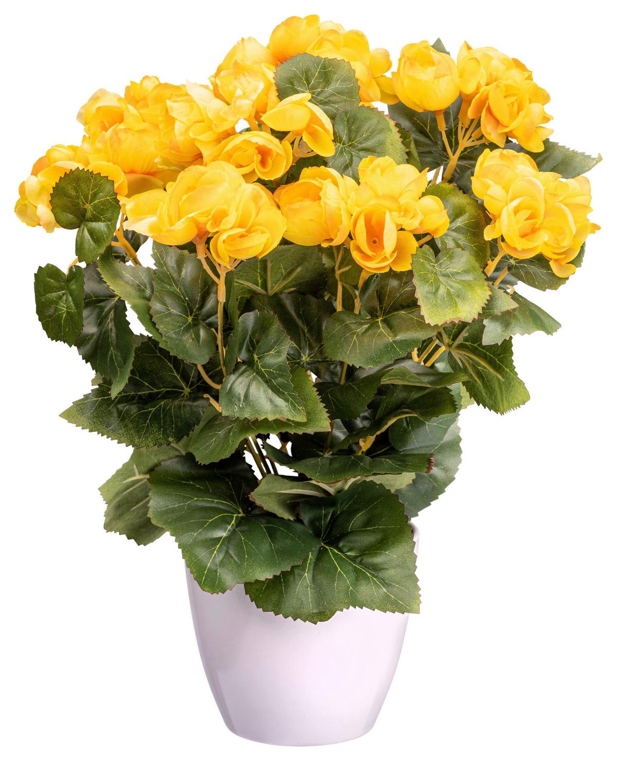 Kunstpflanze Blühpflanzen Gelb/grün/weiß, 35 Cm - Gelb/Weiß, Design, Kunststoff (35cm) - P & B