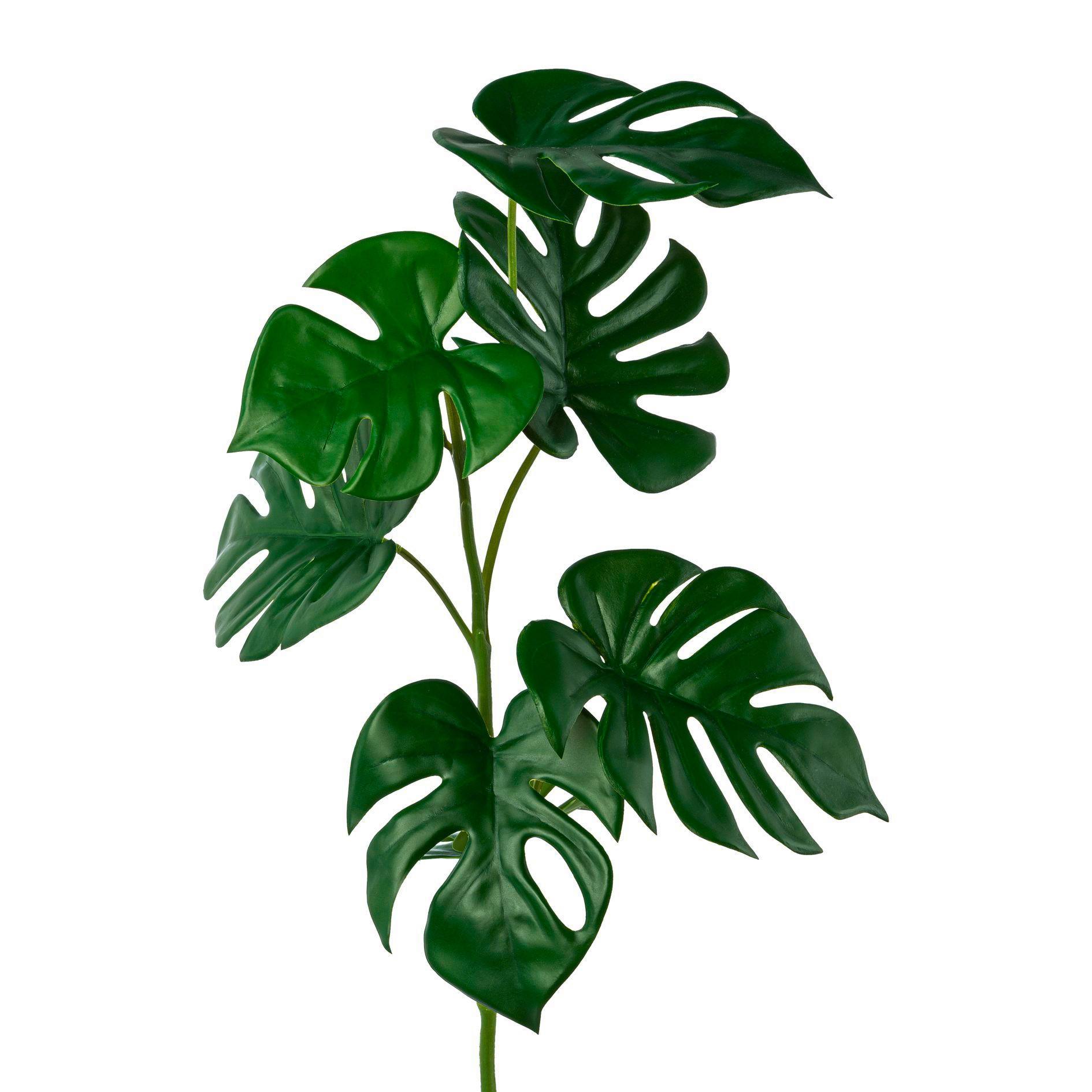 Kunstpflanze Philodendron Grün L: 71 cm, Gertrud - Grün, Basics, Kunststoff (71cm)