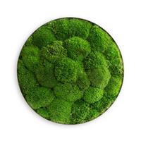 Moosbild Grün 3-teilig - Grün, Basics, Naturmaterialien/Metall (80/10cm)