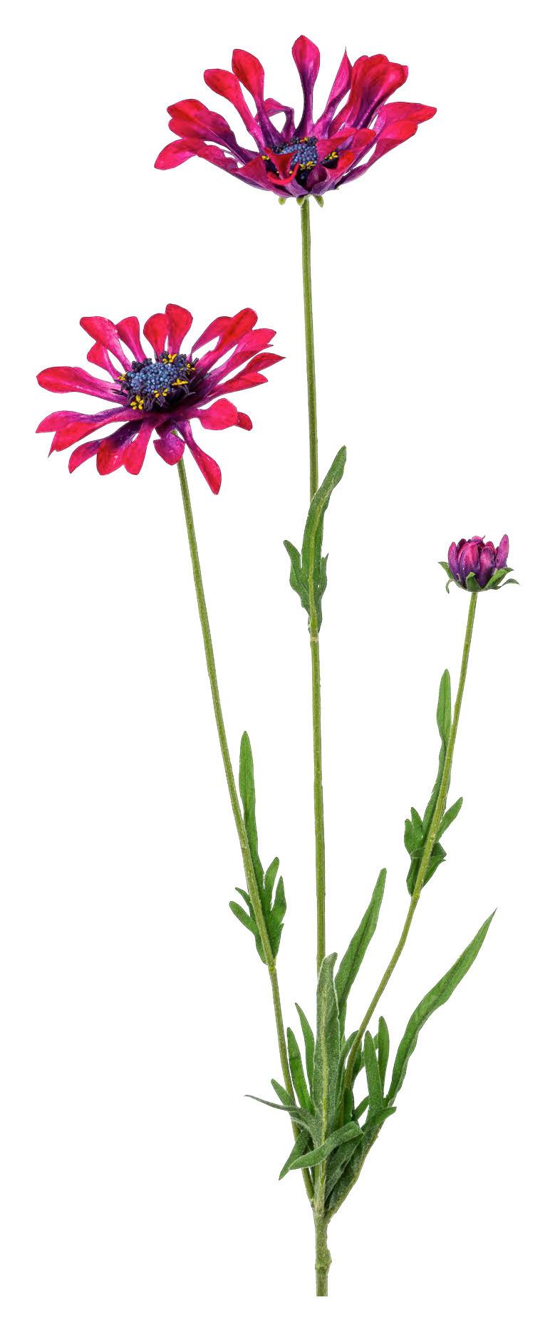 Margaréta KAPMARGERITE I -PAZ- - zelená/bordová, Basics, kov/textil (66cm) - Mömax