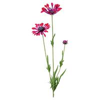 Margaréta KAPMARGERITE I -PAZ- - zelená/bordová, Basics, kov/textil (66cm) - Mömax