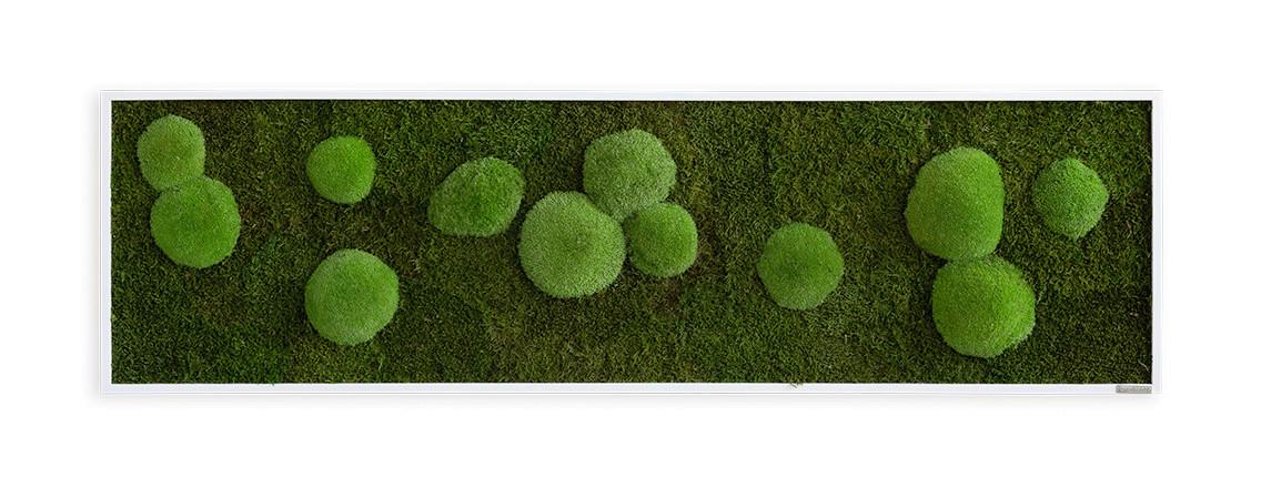 Moosbild Grün B: 140 cm - Weiß/Grün, Basics, Naturmaterialien/Holz (140/40/6cm)