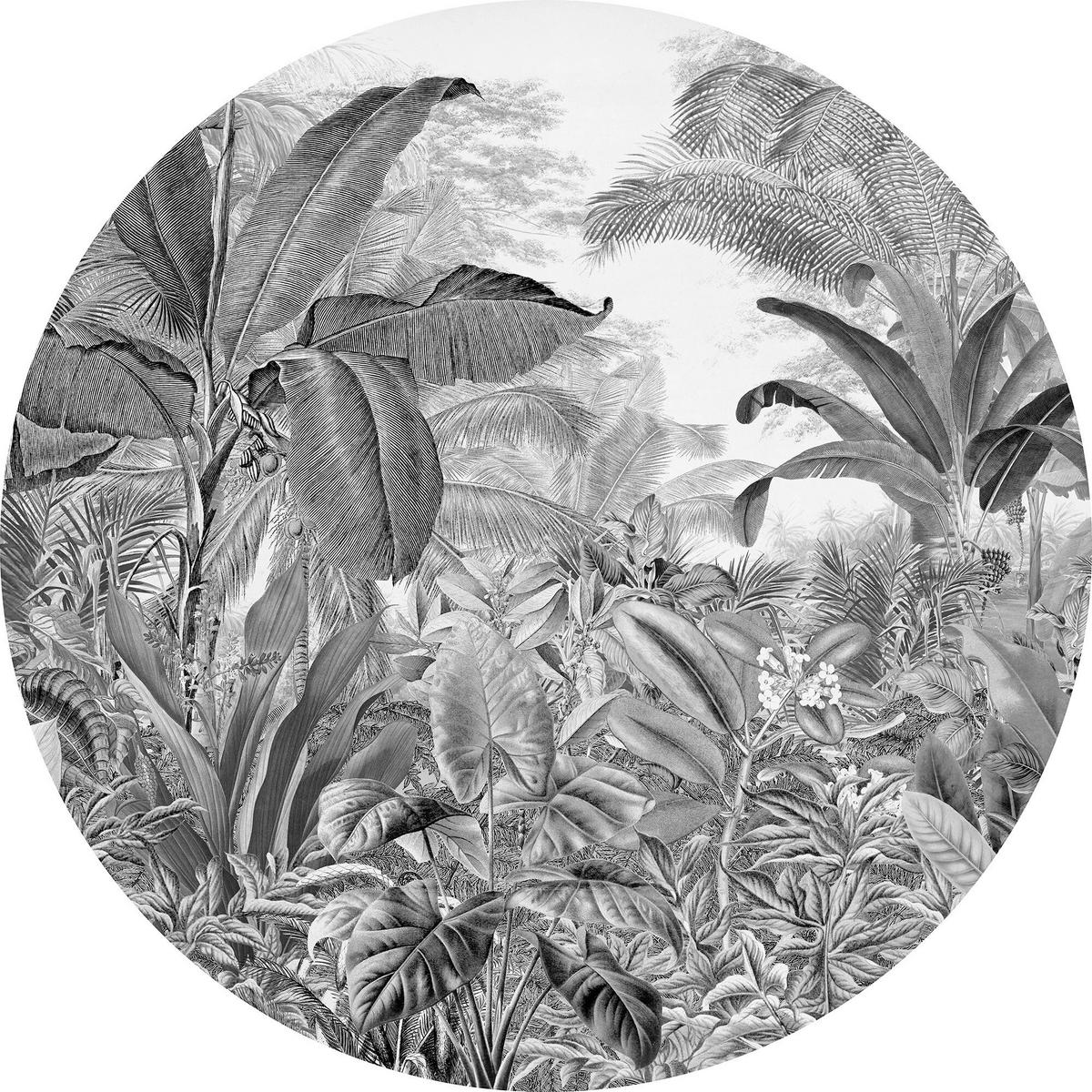 Fototapete Wild Woods - Schwarz/Weiß, Trend (125cm)
