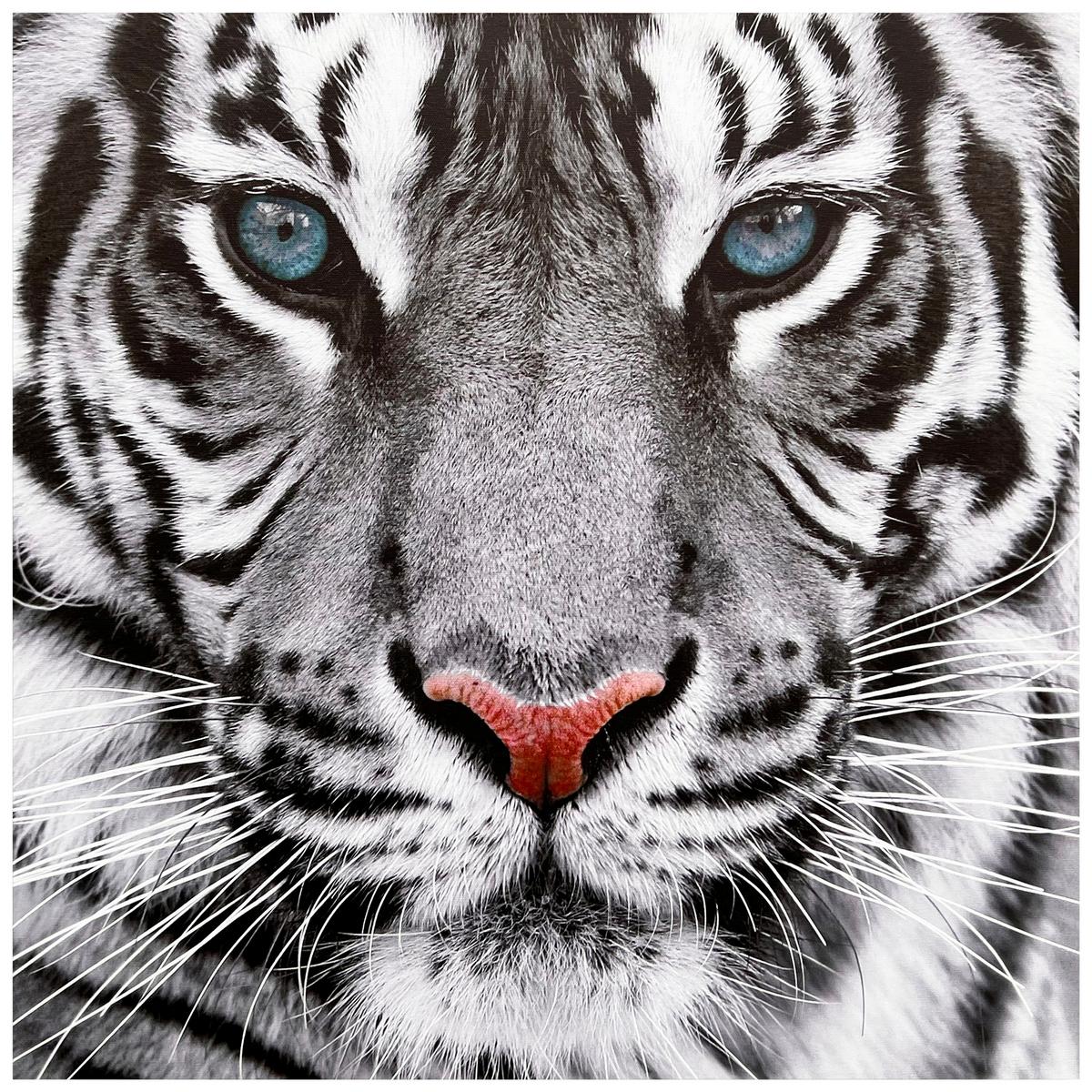 Feszített Vászonkép Lion Kb. 50/50cm - natúr/színes, Konventionell, textil/fa (50/50/1,8cm) - Luca Bessoni